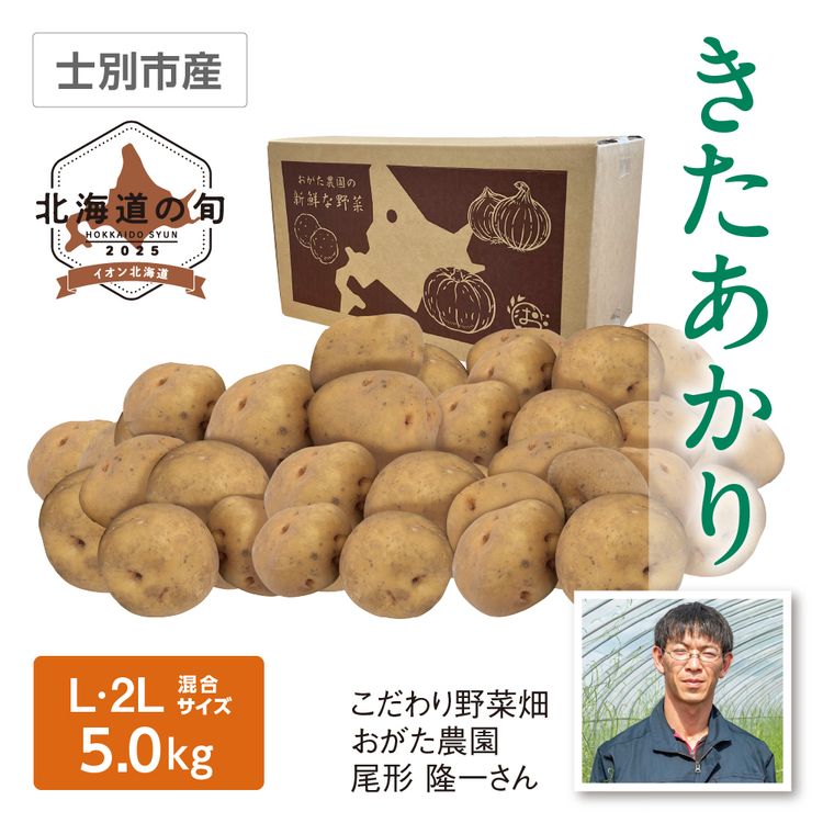 きたあかり　L･2Lサイズ混5.0kg