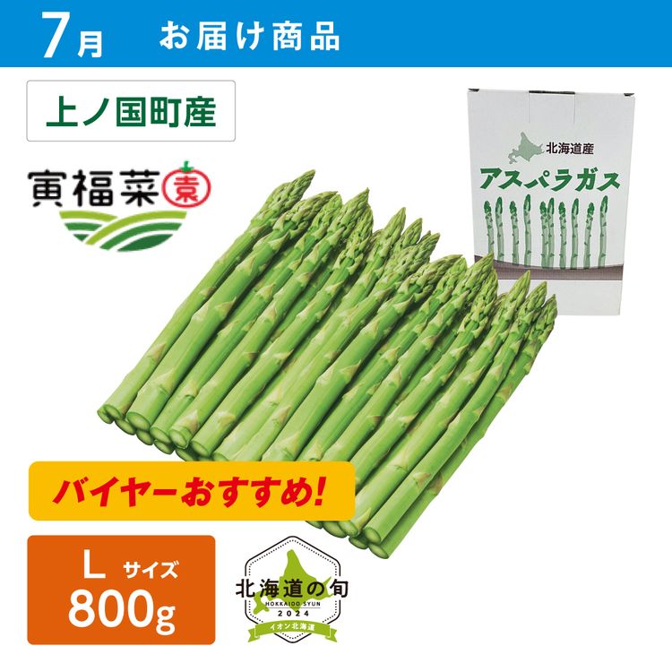 【7月お届け商品】ハウス栽培 グリーンアスパラガス　Lサイズ 800g