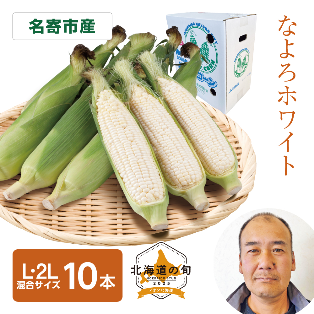 なよろホワイト　L・2Lサイズ混10本