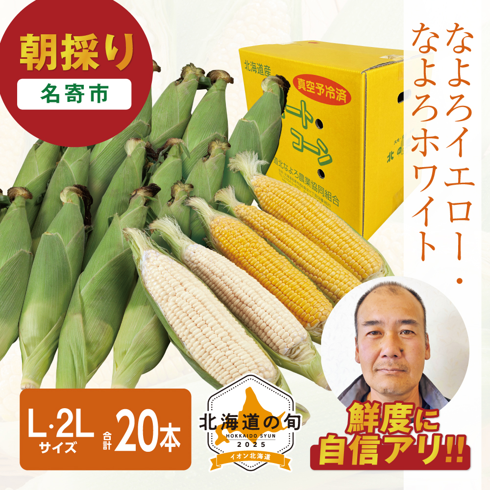 朝採り なよろイエロー・なよろホワイト 各L・2Lサイズ混計20本