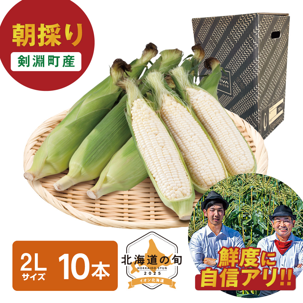 朝採り ホイップコーン　2Lサイズ10本