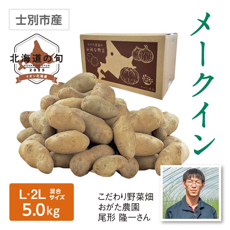 メークイン　L･2Lサイズ混5.0kg