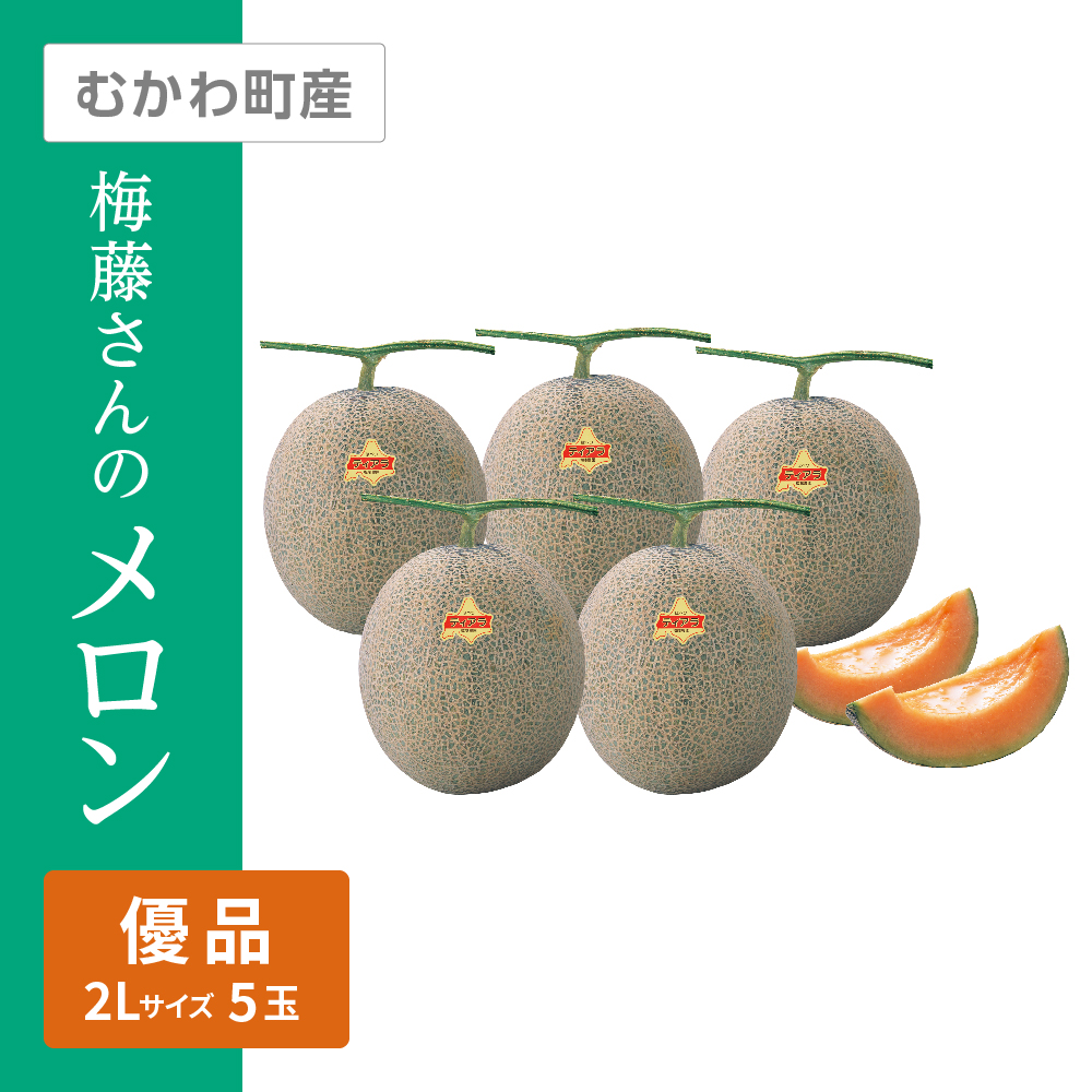 梅藤さんのメロン 優品　2Lサイズ 赤肉 5個