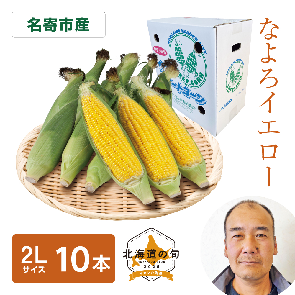 なよろイエロー　2Lサイズ10本