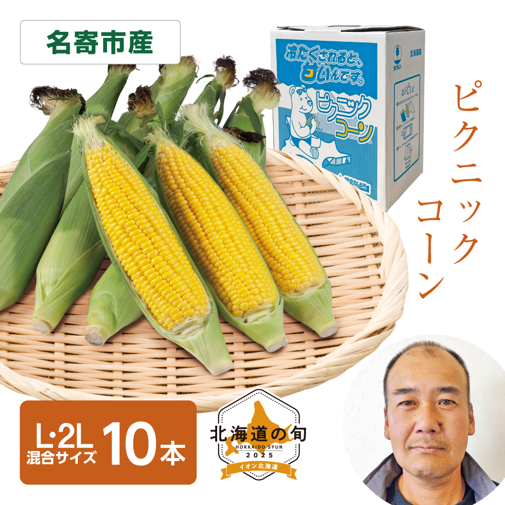 ピクニックコーン　L・2Lサイズ混10本