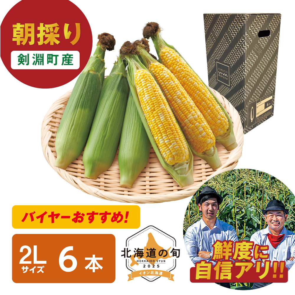 朝採り ドルチェドリーム　2Lサイズ6本