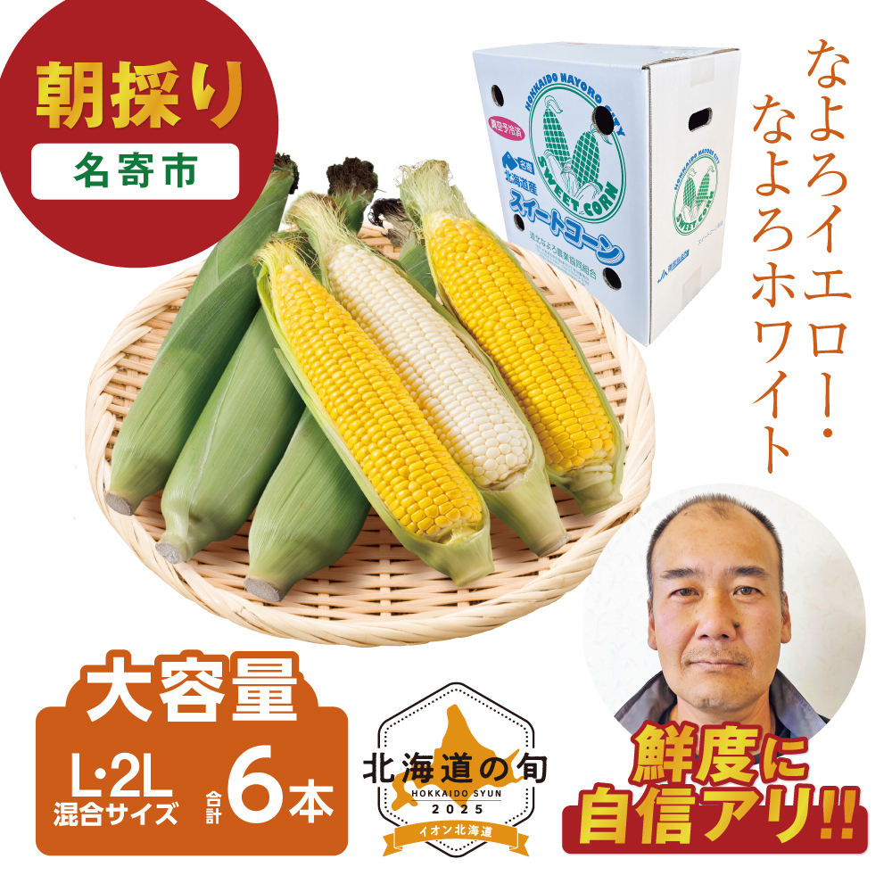 朝採り なよろイエロー・なよろホワイト　各L・2Lサイズ混計6本