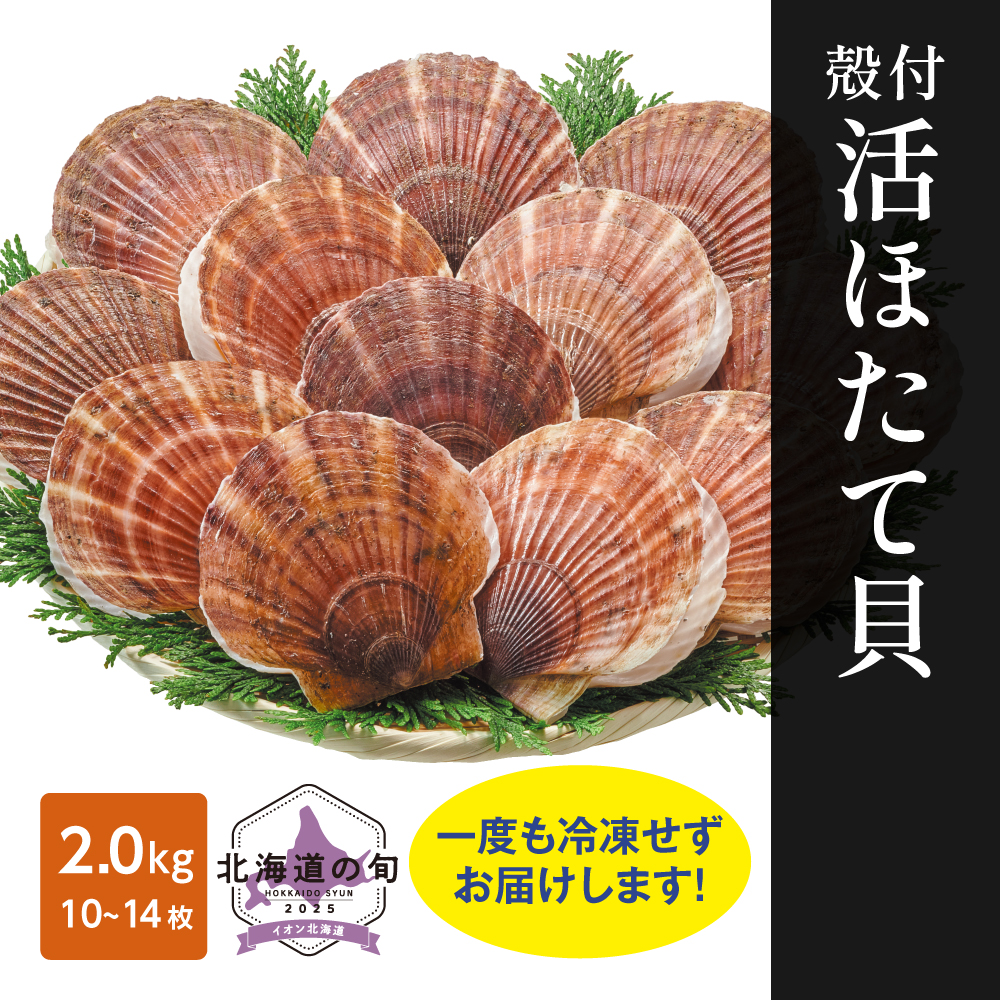 殻付活ほたて貝　2.0kg