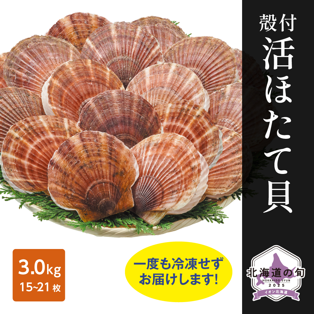 殻付活ほたて貝　3.0kg