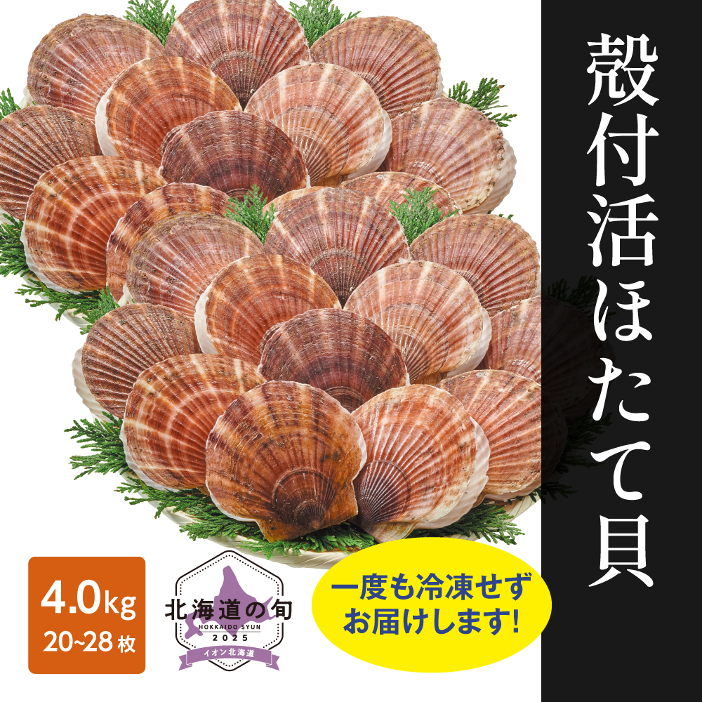 殻付活ほたて貝 4.0kg