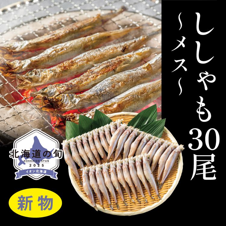 ししゃも30尾(メス)