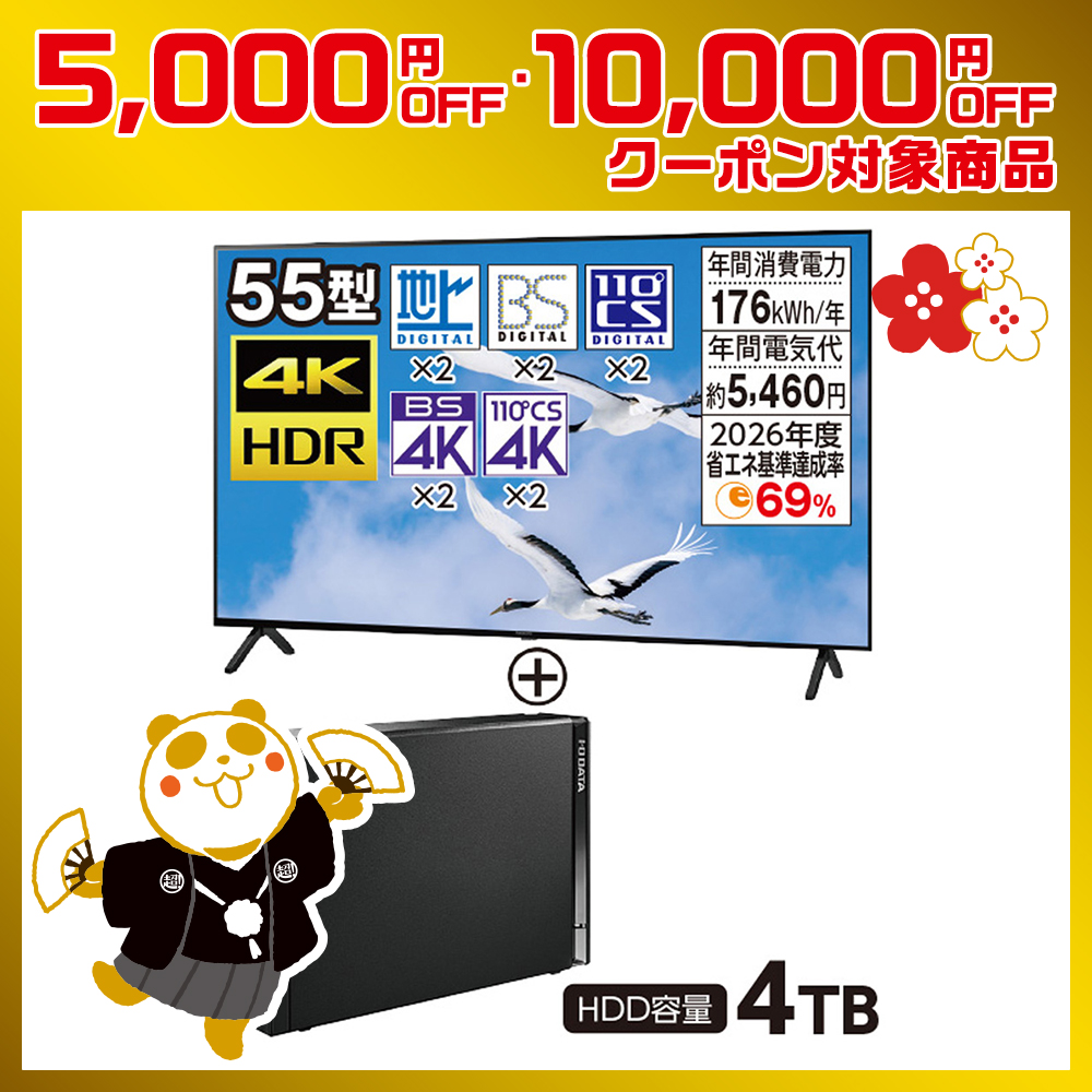 55型液晶テレビセット 【Panasonic VIERA + IODATA 外付けHDD】