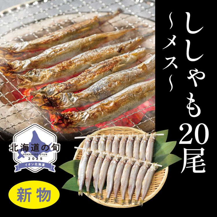 ししゃも20尾(メス)