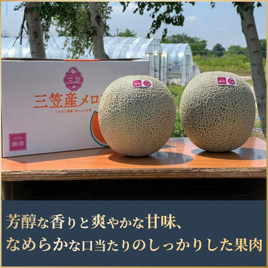 三笠産メロン　2Lサイズ2玉