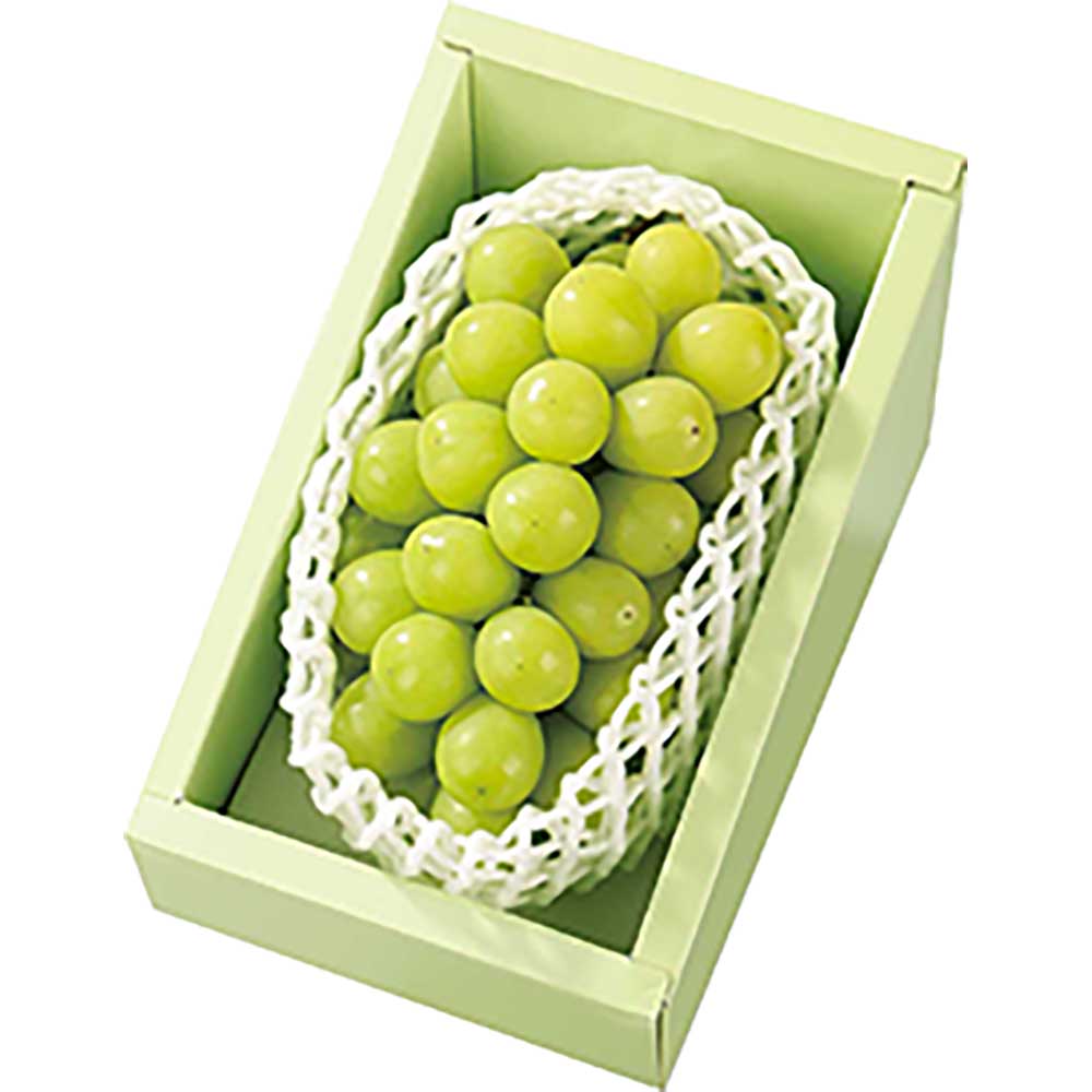 ぶどう・マスカット | イオン北海道 eショップ