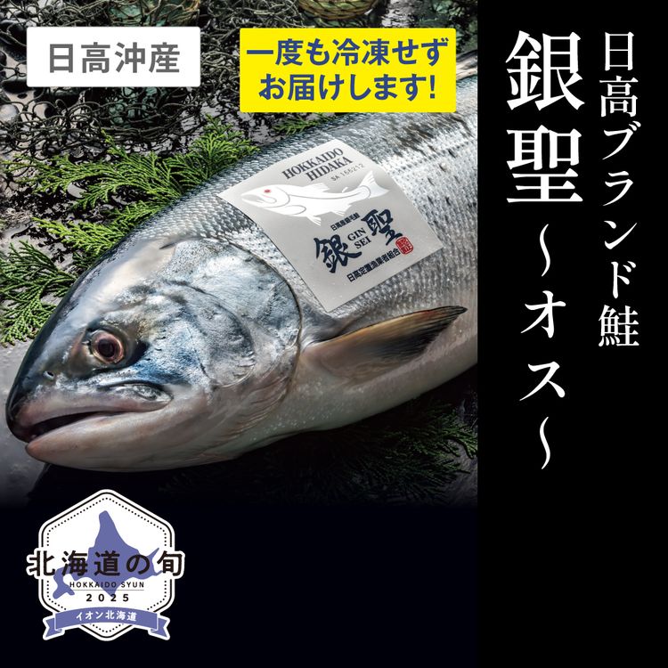 日高沖産 銀聖(秋鮭)オス　オス1尾3.5kg以上