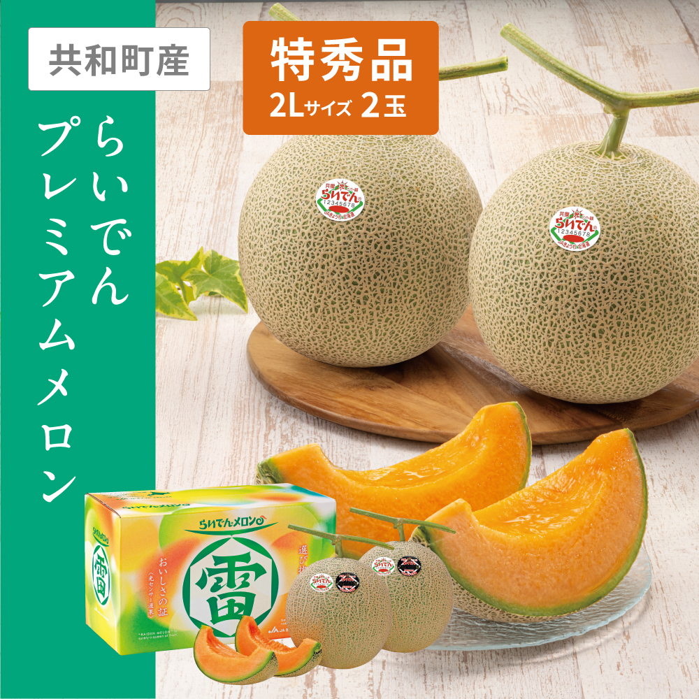 らいでんプレミアムメロン 特秀品　2Lサイズ 赤肉 2個