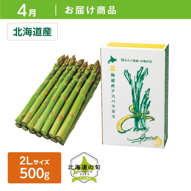 【4月お届け商品】ハウス栽培 グリーンアスパラガス　2Lサイズ500g