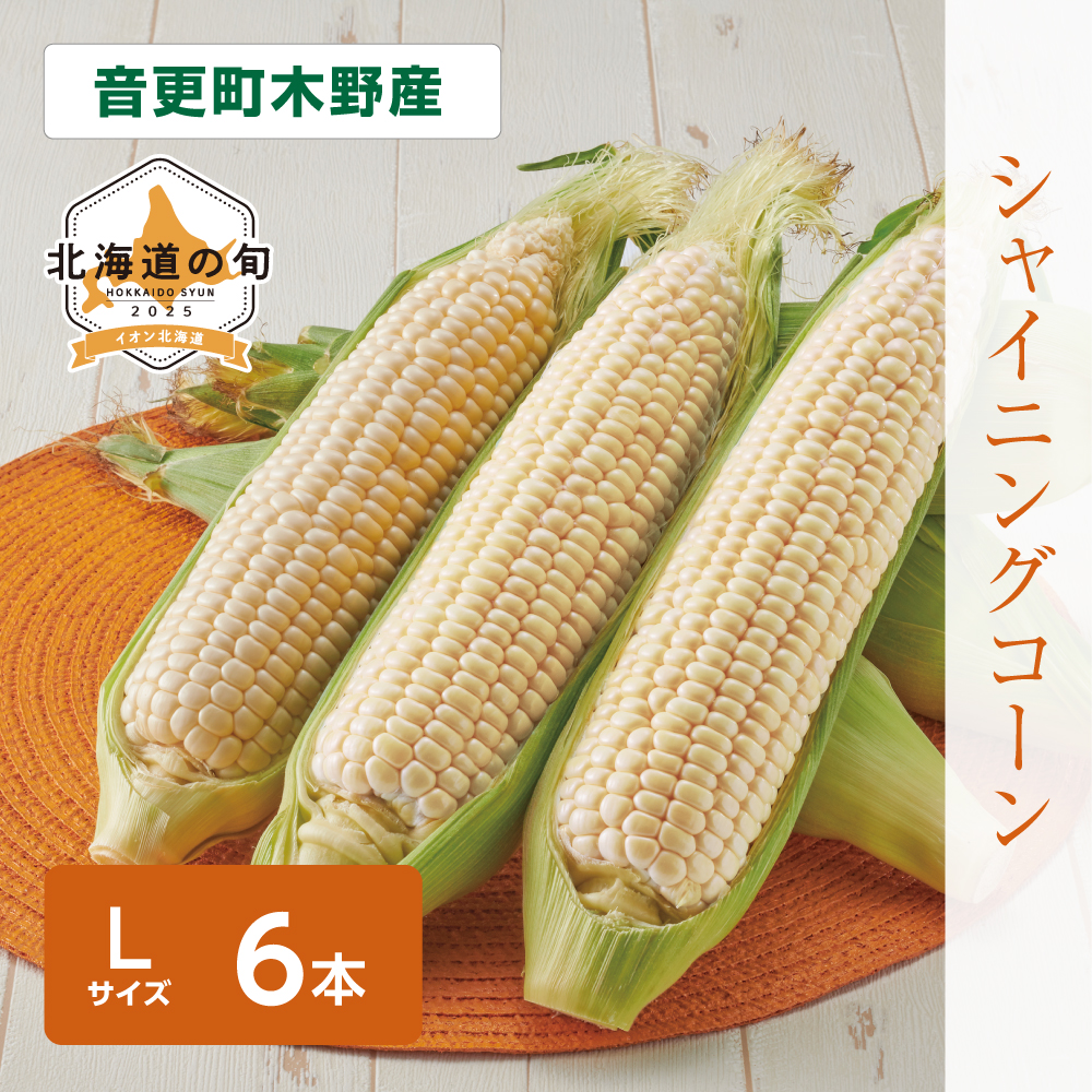 シャイニングコーン　Lサイズ6本