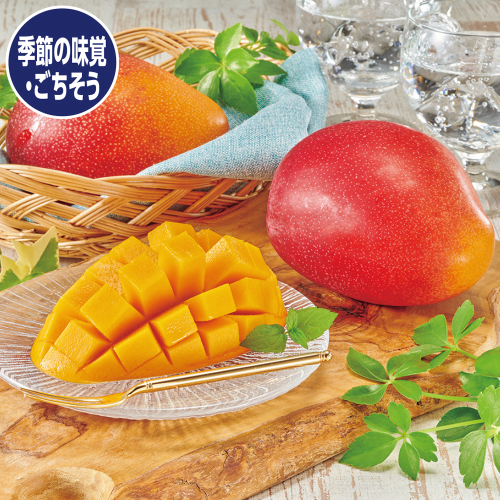 摩周湖の夕日　極寒完熟マンゴー ３Ｌサイズ、１玉（４５０ｇ）