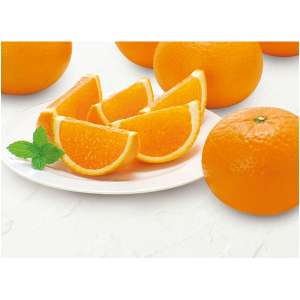 蜜る清見オレンジ　