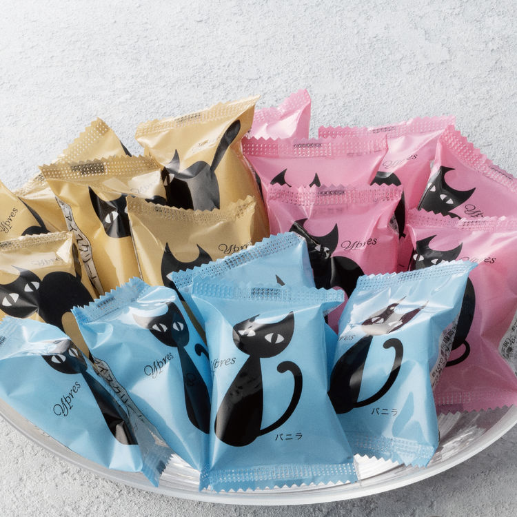 イーペルの猫祭り プチチョコアイス　