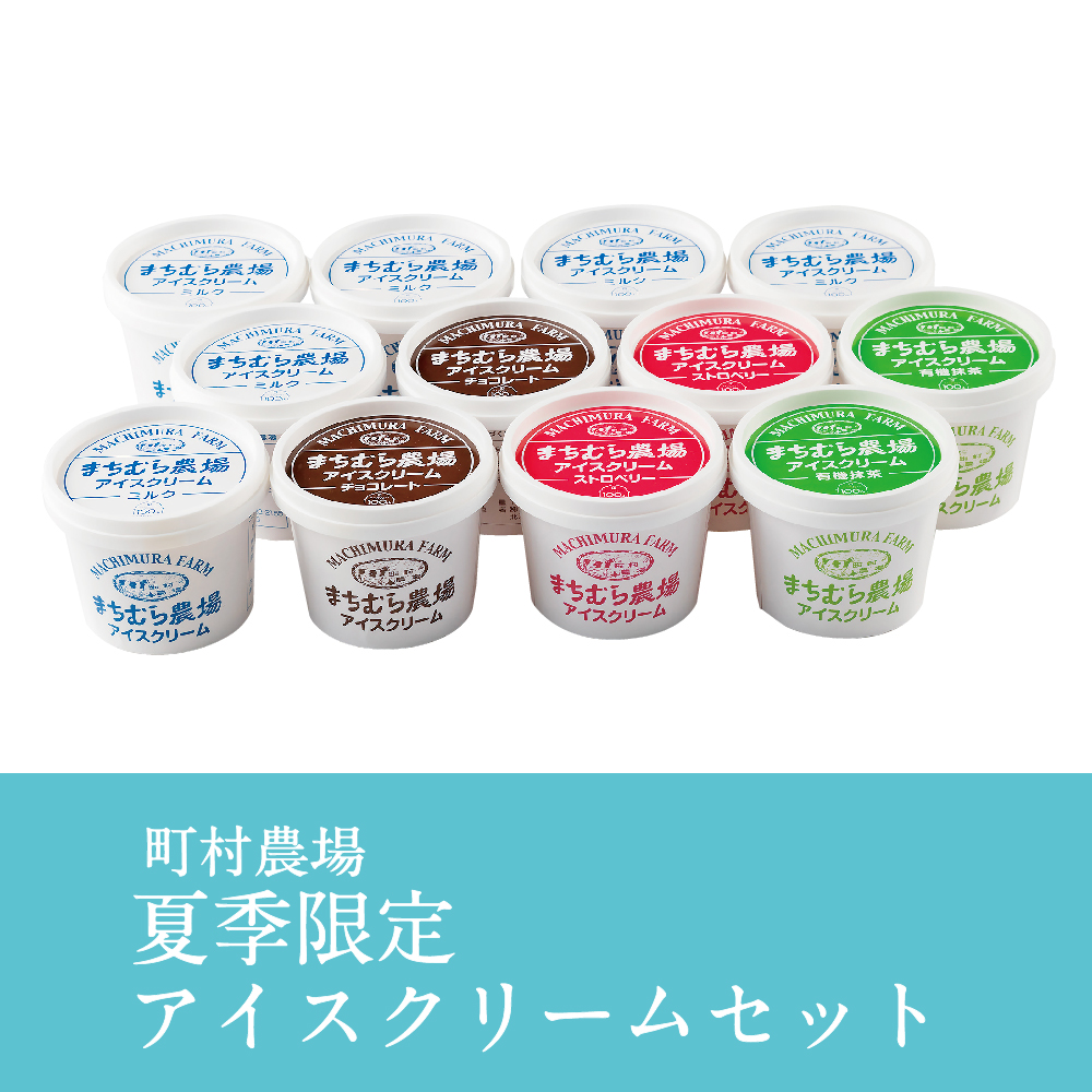 夏季限定アイスクリームセット　SNI2