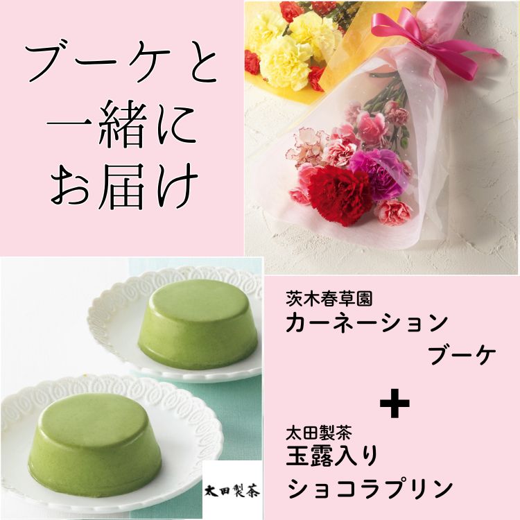 カーネーションブーケ＋太田製茶 玉露入りショコラプリン
