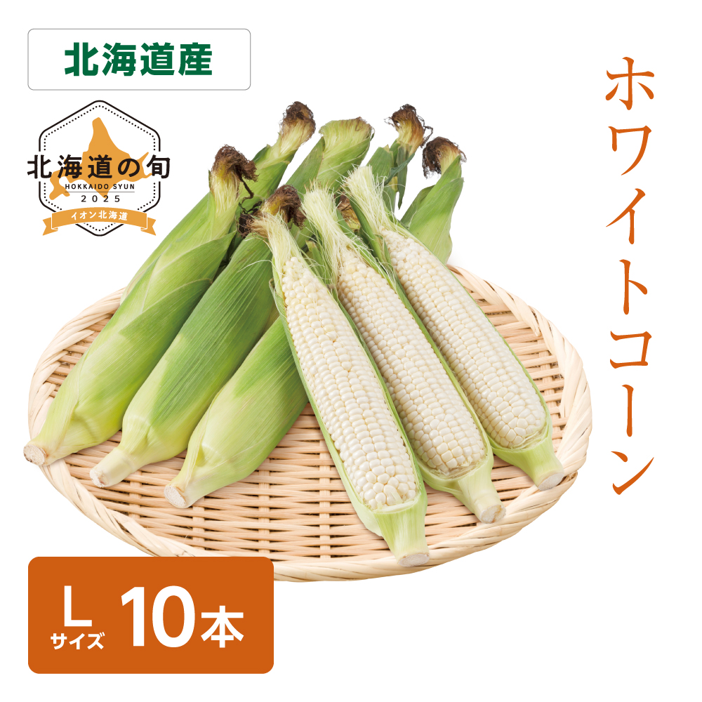 ホワイトコーン　Lサイズ10本