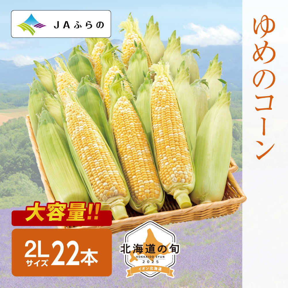 ゆめのコーン　2Lサイズ22本