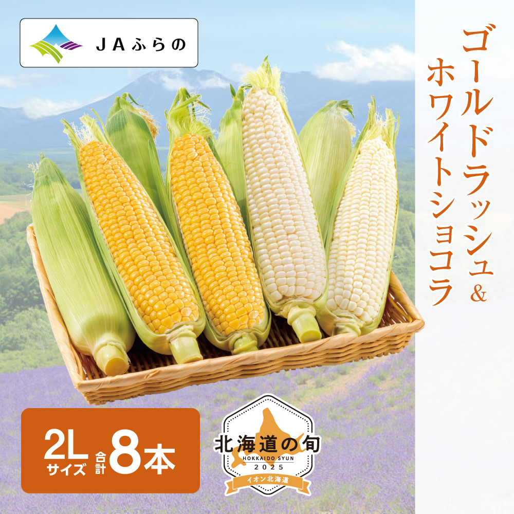 ハウス栽培 ゴールドラッシュ・ホワイトショコラ　各2Lサイズ各4本