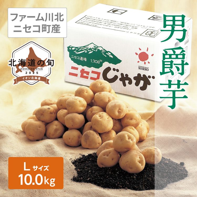 男爵芋　Lサイズ10.0kg