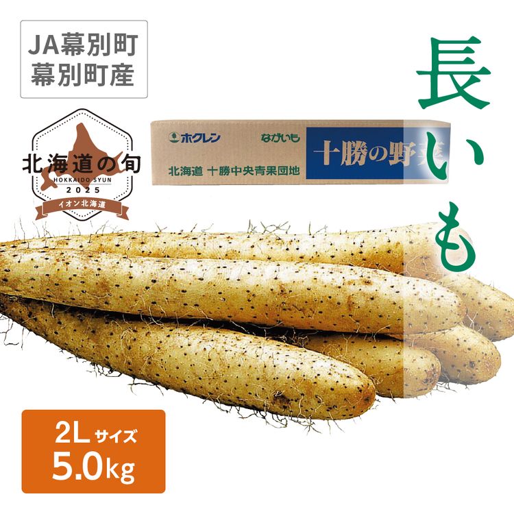 長いも　2Lサイズ5.0kg
