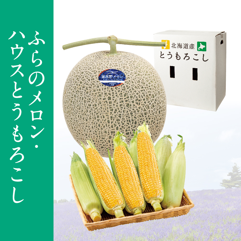 ふらのメロン・ハウスとうもろこし　ふらのメロン 1玉 トウモロコシ7本