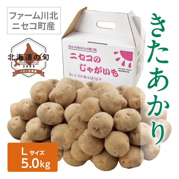 きたあかり　Lサイズ5.0kg