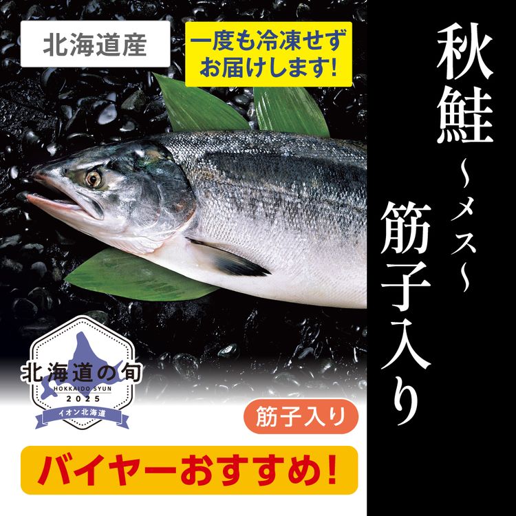 秋鮭(メス･筋子入り)　1尾3.0kg