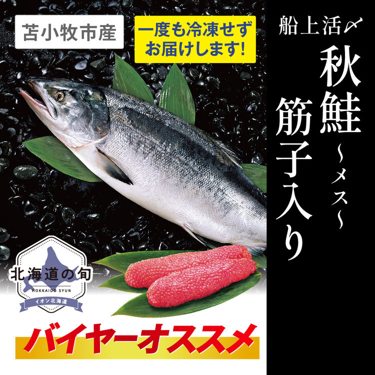 北海道産 秋鮭メス www.krzysztofbialy.com