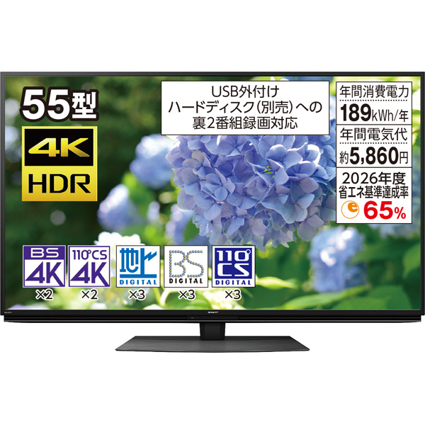 SHARP 55型4K液晶テレビ 4T-C55DN1 | fpfs.com.py