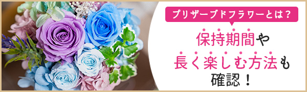 【特集】プリザーブドフラワーとは？保持期間や長く楽しむ方法も