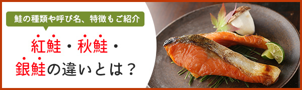 【特集】紅鮭・秋鮭・銀鮭の違いとは？鮭の種類や呼び名、特徴も