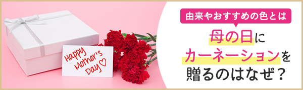 【特集】母の日にカーネーションを贈るのはなぜ？由来やおすすめ