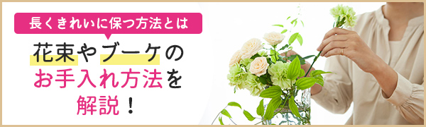 花束やブーケのお手入れ方法を解説・長くきれいに保つ方法とは