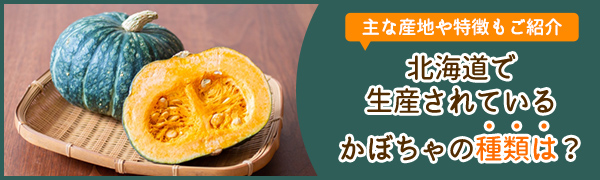 【特集】北海道で生産されているかぼちゃの種類は？主な産地や特