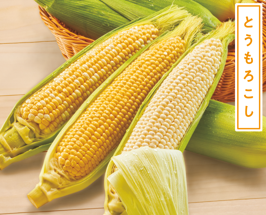 企画トップ イオン北海道 Eショップ