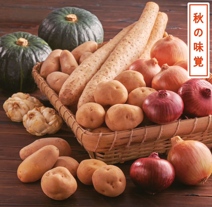 特集 北海道で生産されているかぼちゃの種類は 主な産地や特徴もご紹介 イオン北海道 Eショップ