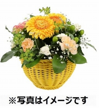 商品名