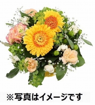 商品名