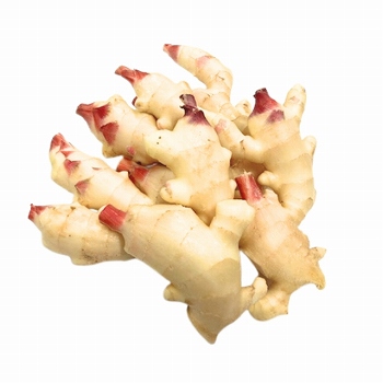 商品名