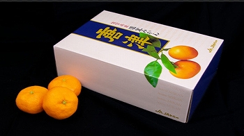 商品名
