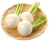 千葉県など国内産　白かぶ　Ｓ～Ｌサイズ　１束